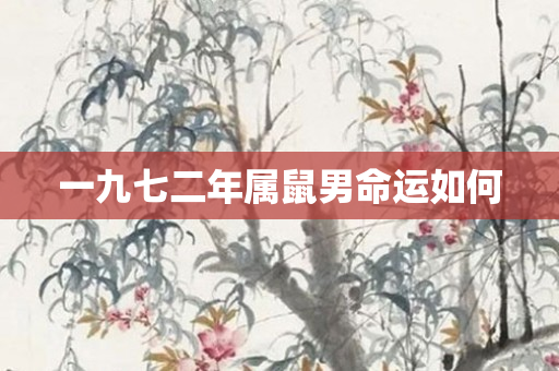 一九七二年属鼠男命运如何