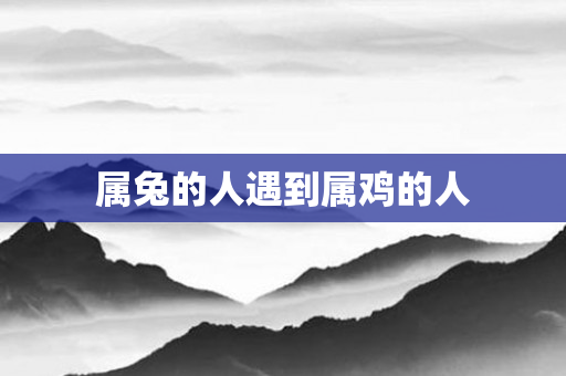 属兔的人遇到属鸡的人