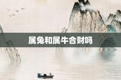 属兔和属牛合财吗
