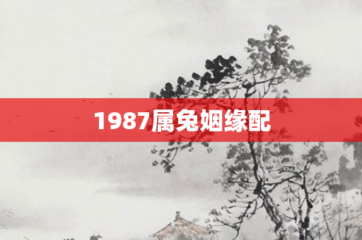 1987属兔姻缘配