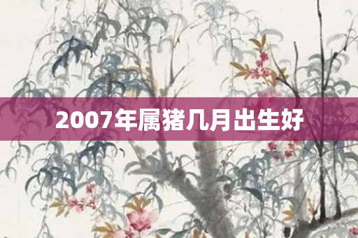 2007年属猪几月出生好