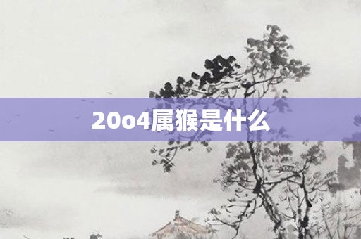 20o4属猴是什么