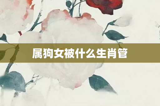 属狗女被什么生肖管