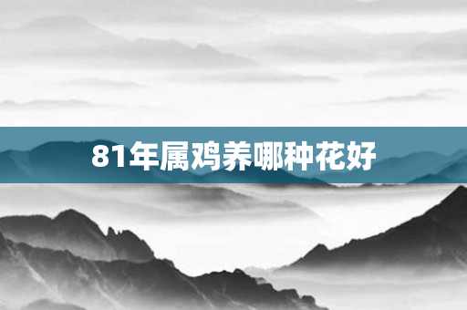 81年属鸡养哪种花好