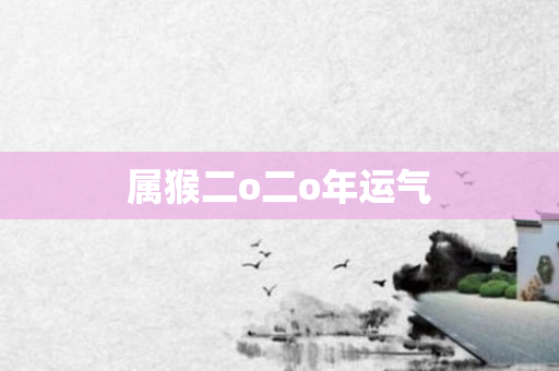 属猴二o二o年运气