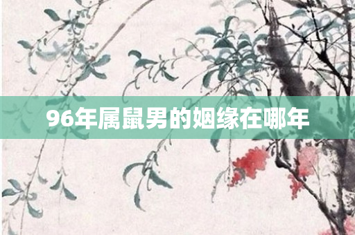 96年属鼠男的姻缘在哪年
