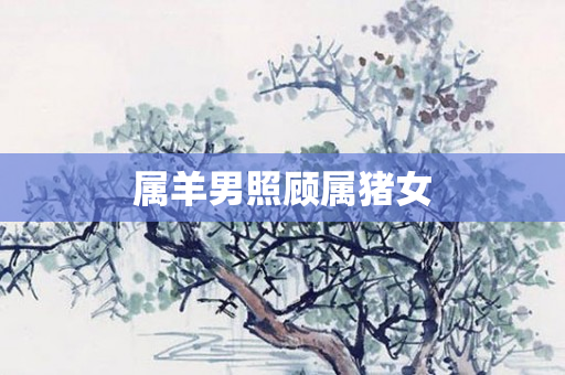 属羊男照顾属猪女