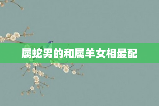 属蛇男的和属羊女相最配