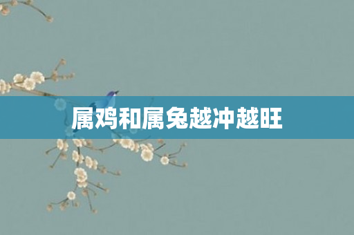 属鸡和属兔越冲越旺