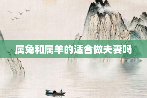 属兔和属羊的适合做夫妻吗