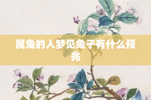 属兔的人梦见兔子有什么预兆