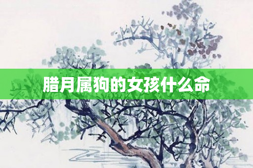 腊月属狗的女孩什么命
