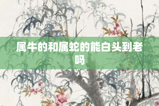 属牛的和属蛇的能白头到老吗