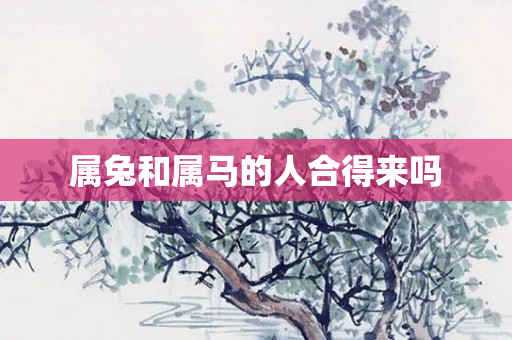 属兔和属马的人合得来吗