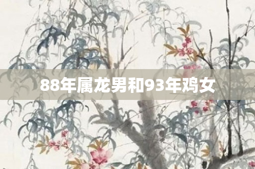 88年属龙男和93年鸡女