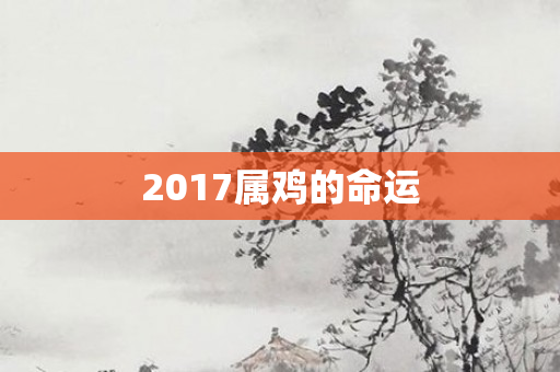 2017属鸡的命运