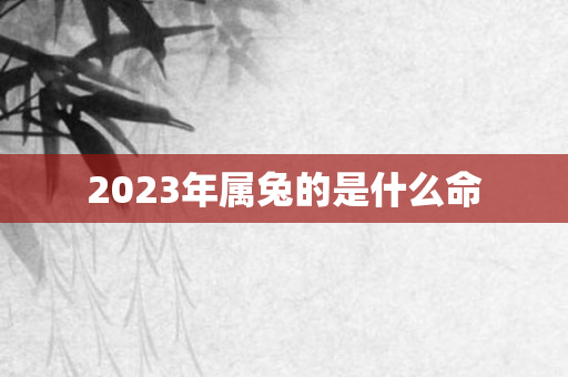 2023年属兔的是什么命
