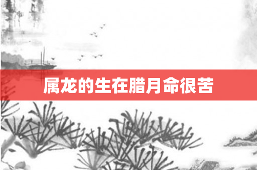 属龙的生在腊月命很苦