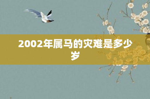 2002年属马的灾难是多少岁