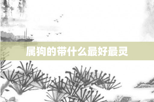 属狗的带什么更好最灵