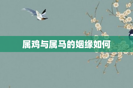 属鸡与属马的姻缘如何