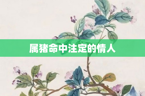 属猪命中注定的情人