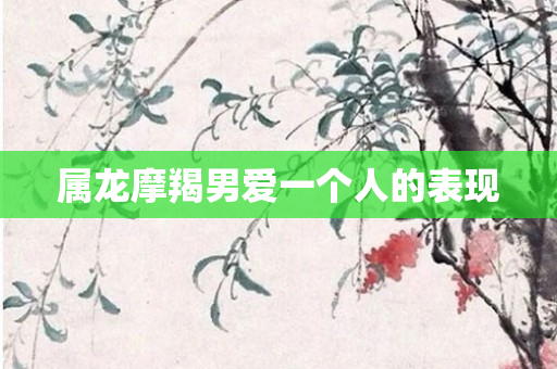 属龙摩羯男爱一个人的表现