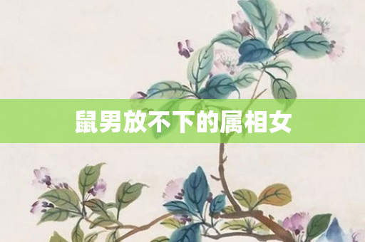 鼠男放不下的属相女