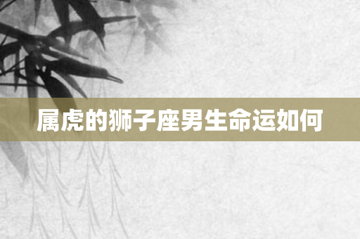 属虎的狮子座男生命运如何