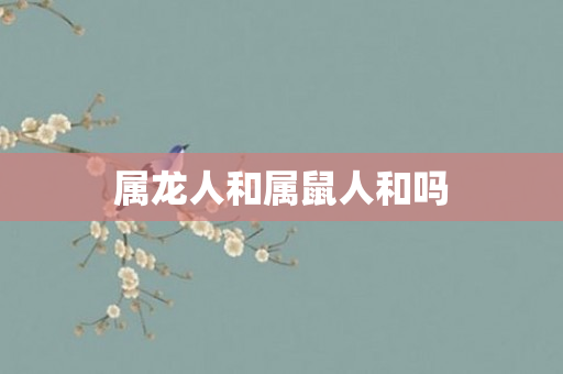 属龙人和属鼠人和吗