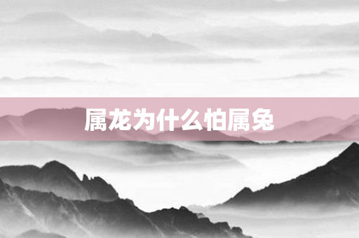 属龙为什么怕属兔
