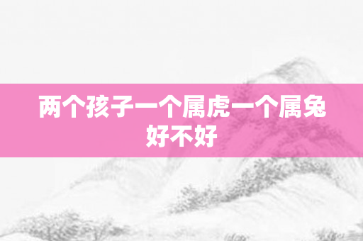 两个孩子一个属虎一个属兔好不好
