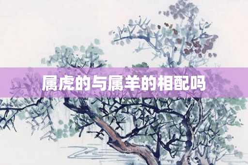 属虎的与属羊的相配吗