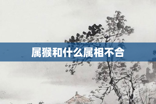 属猴和什么属相不合