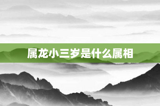 属龙小三岁是什么属相