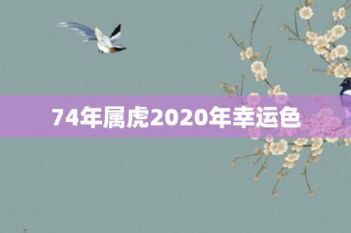 74年属虎2020年幸运色
