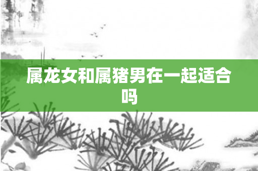属龙女和属猪男在一起适合吗
