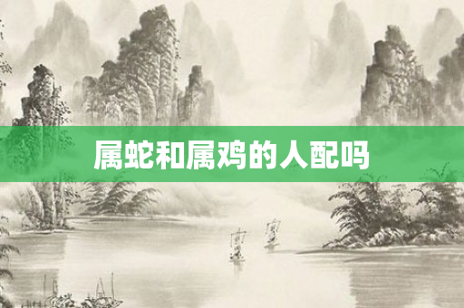 属蛇和属鸡的人配吗