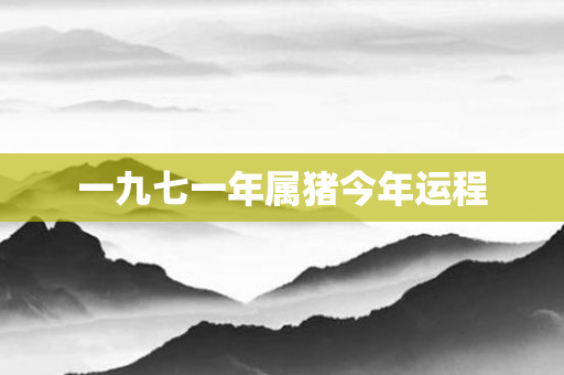 一九七一年属猪今年运程