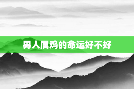 男人属鸡的命运好不好