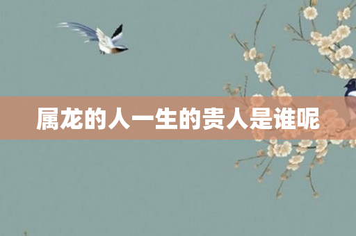 属龙的人一生的贵人是谁呢