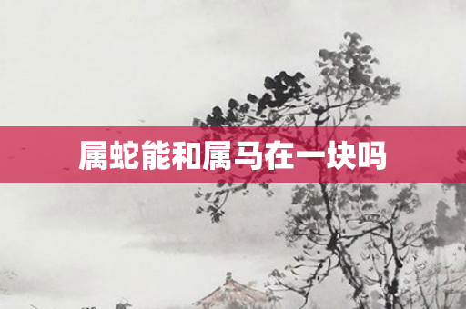属蛇能和属马在一块吗