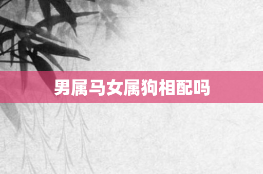男属马女属狗相配吗