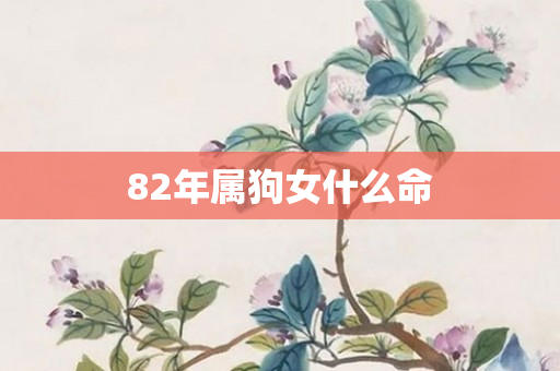82年属狗女什么命