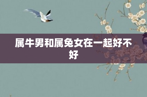属牛男和属兔女在一起好不好