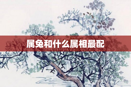 属兔和什么属相最配