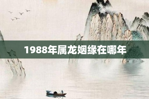 1988年属龙姻缘在哪年