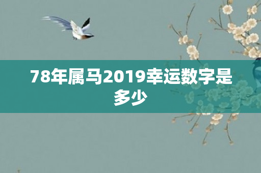 78年属马2019幸运数字是多少