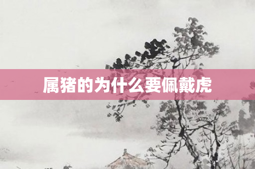 属猪的为什么要佩戴虎
