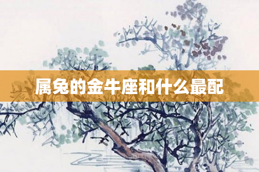 属兔的金牛座和什么最配